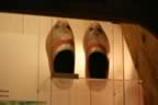 Wooden Shoes0.jpg (17kb)